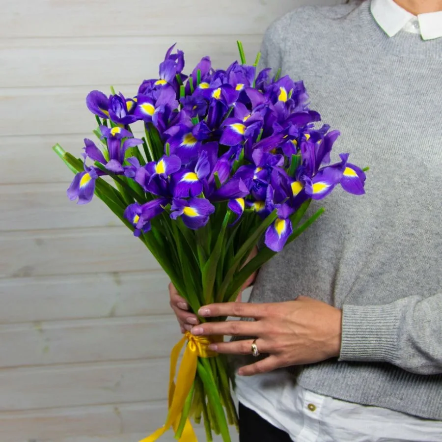 Букет из 25 ирисов 2