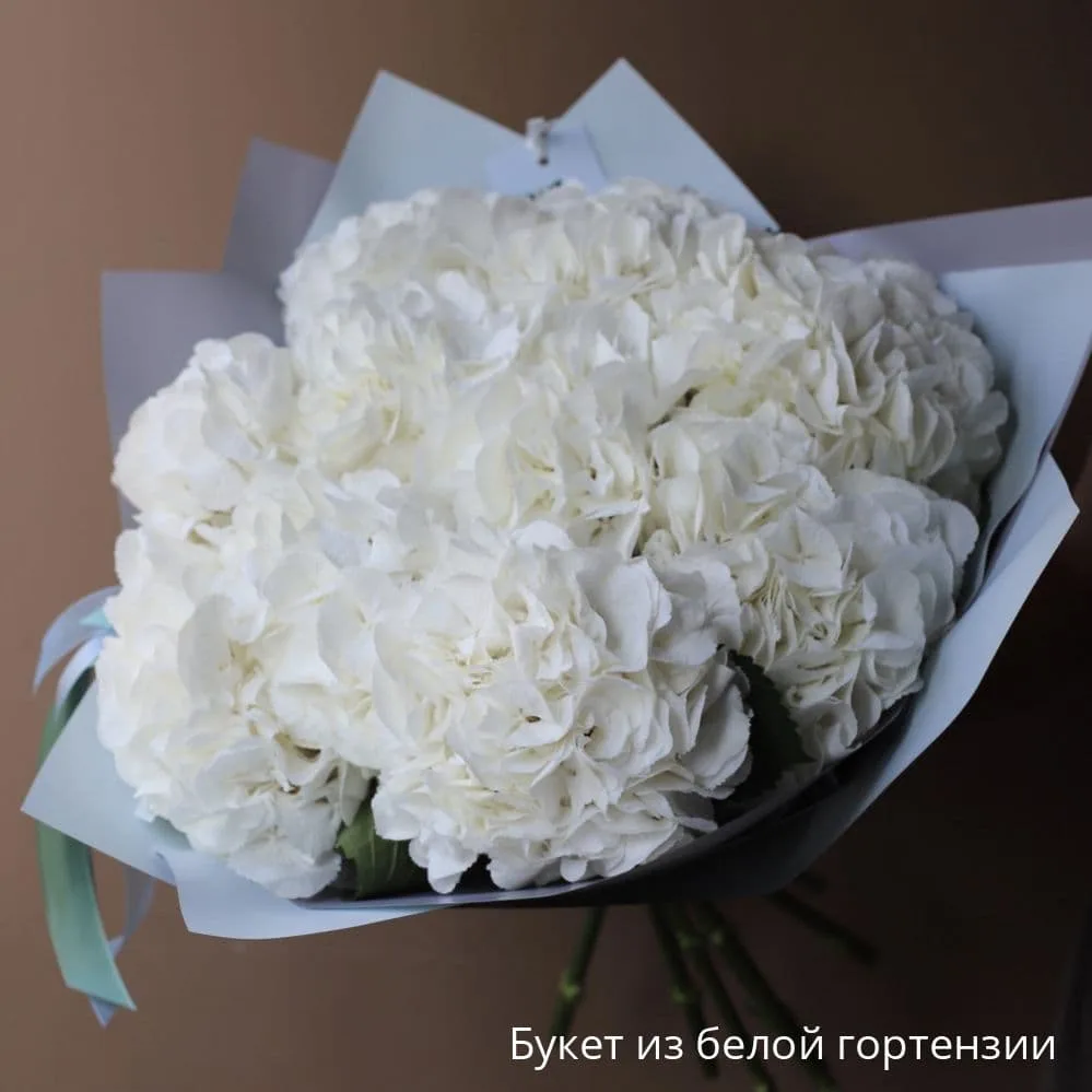 Букет из 9 белых гортензий