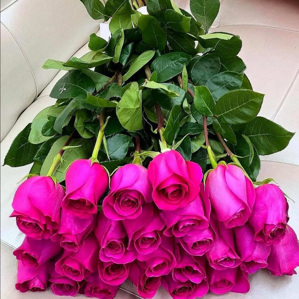 Роза Топаз 25шт